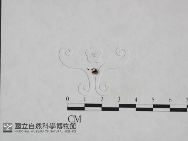 登錄號:F0023607藏品圖，第1張