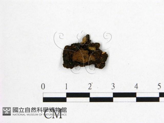 登錄號:F0021407藏品圖，第1張