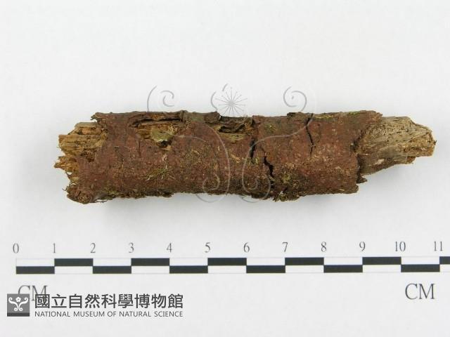 登錄號:F0014407藏品圖，第1張