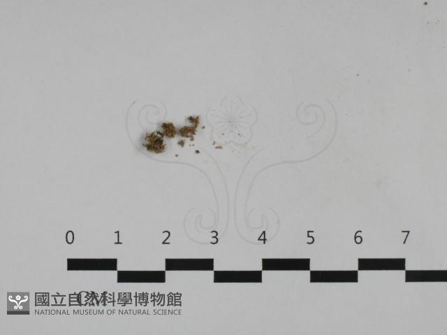 登錄號:F0032707藏品圖，第1張