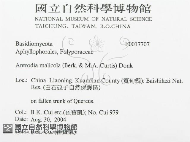 登錄號:F0017707藏品圖，第3張