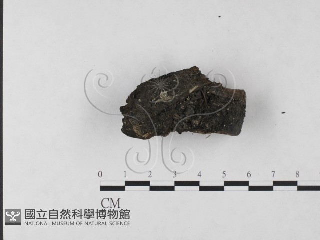 登錄號:F0023707藏品圖，第1張