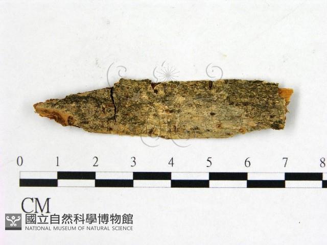 登錄號:F0011507藏品圖，第1張