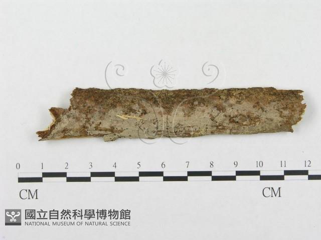 登錄號:F0002507藏品圖，第1張
