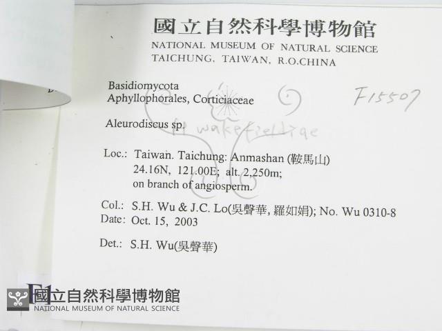 登錄號:F0015507藏品圖，第3張