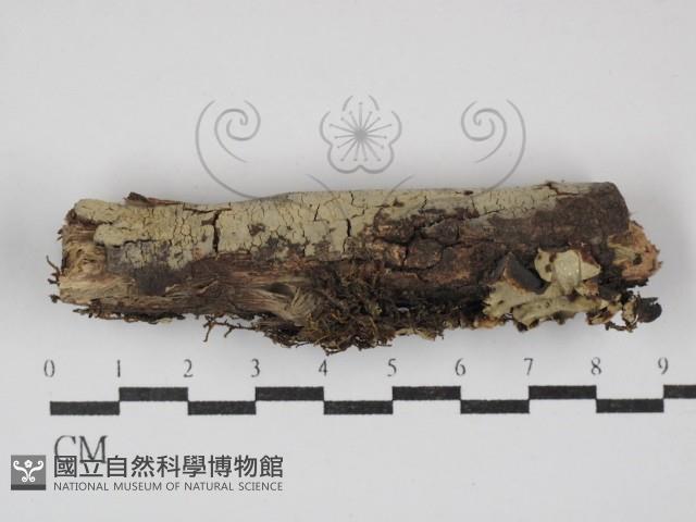 登錄號:F0030107藏品圖，第1張