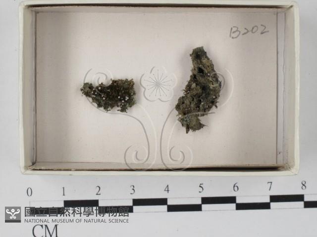 登錄號:F0021107藏品圖，第1張