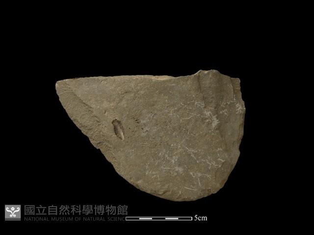 砍砸器藏品圖，第2張