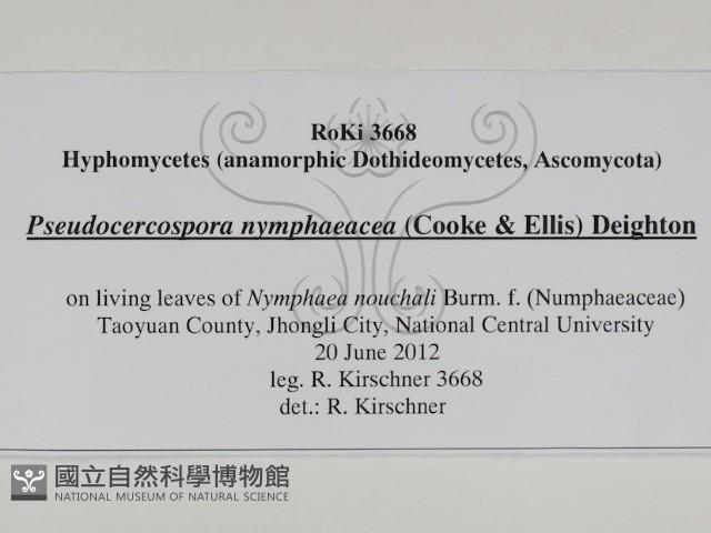 登錄號:F0031007藏品圖，第3張