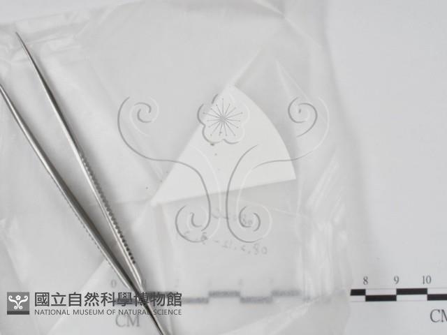 登錄號:F0022007藏品圖，第1張