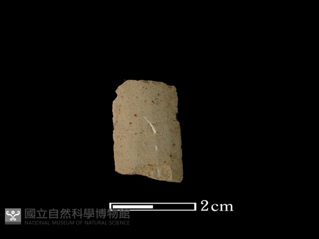 矛鏃形器藏品圖，第2張