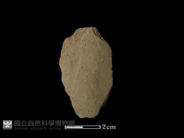 矛鏃形器藏品圖，第2張