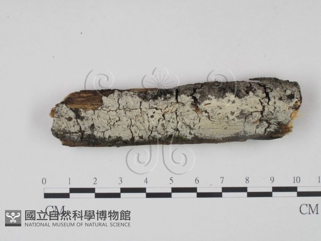 登錄號:F0022217藏品圖，第1張