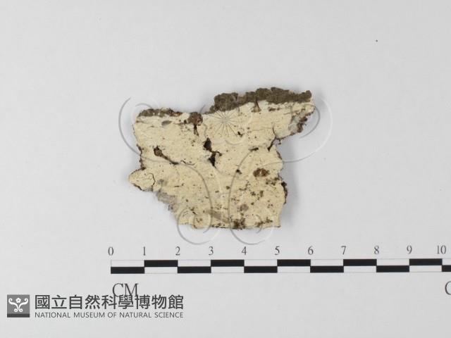 登錄號:F0020817藏品圖，第1張