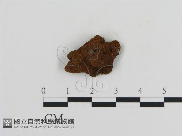 登錄號:F0010817藏品圖，第1張