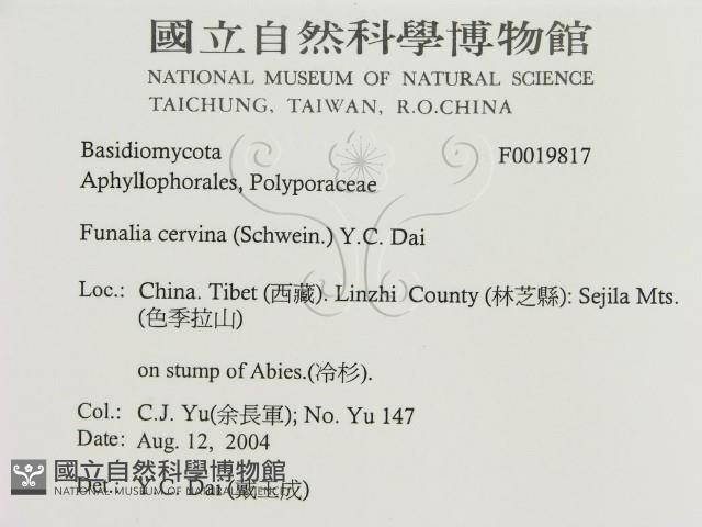 登錄號:F0019817藏品圖，第3張