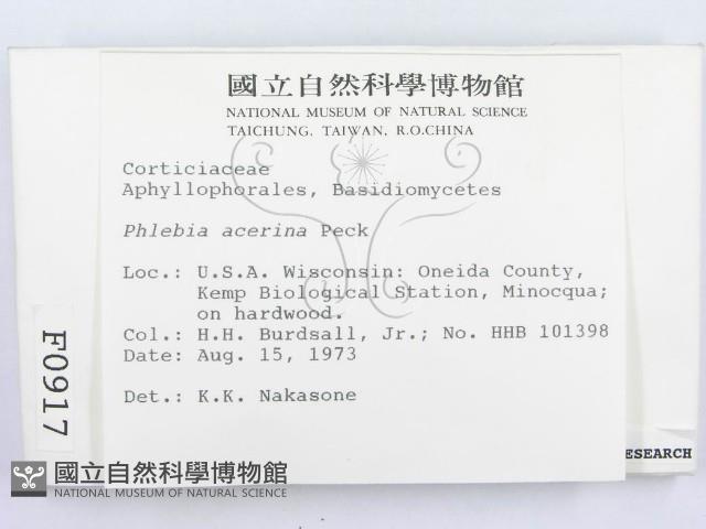 登錄號:F0000917藏品圖，第3張