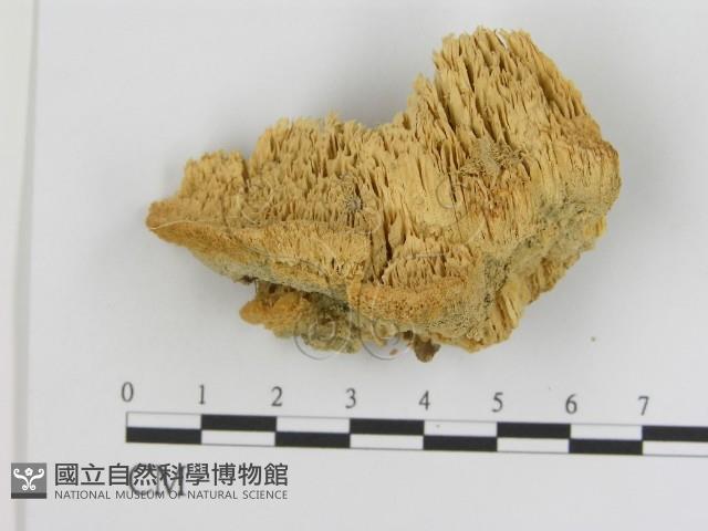 登錄號:F0006917藏品圖，第1張