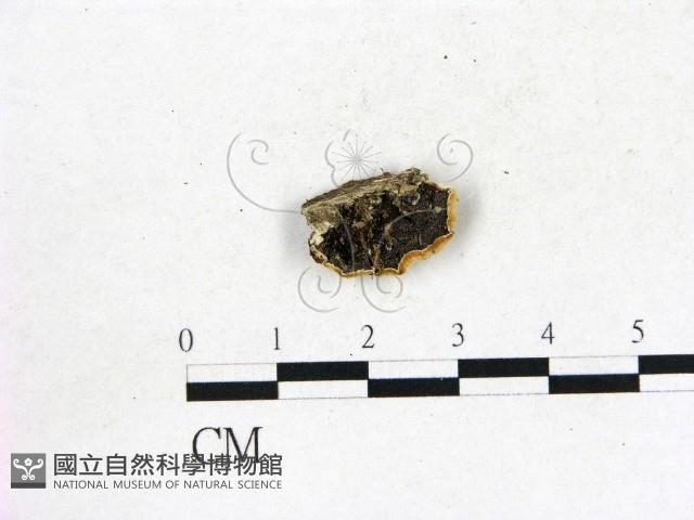 登錄號:F0017917藏品圖，第1張