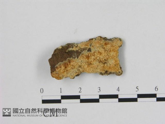 登錄號:F0004617藏品圖，第1張