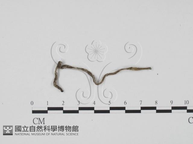 登錄號:F0022617藏品圖，第1張