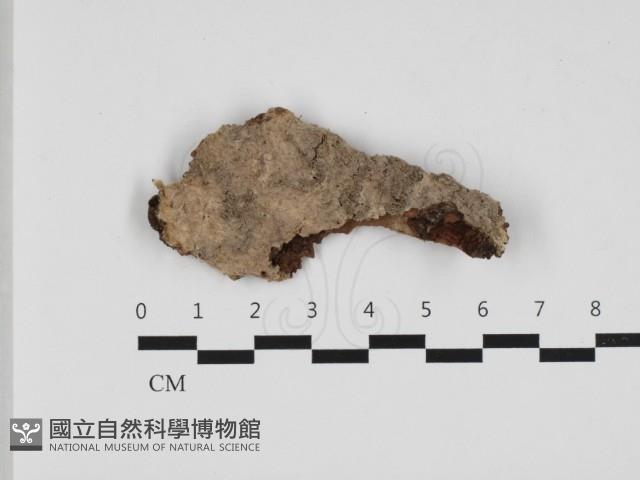 登錄號:F0032617藏品圖，第1張