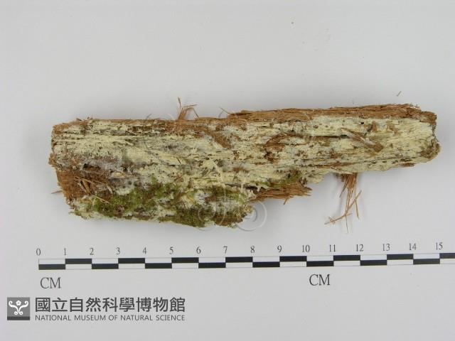 登錄號:F0003617藏品圖，第1張