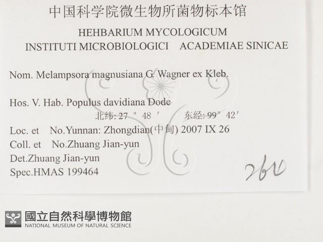 登錄號:F0026417藏品圖，第3張