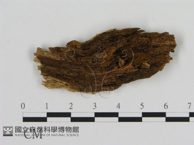 登錄號:F0011417藏品圖，第1張