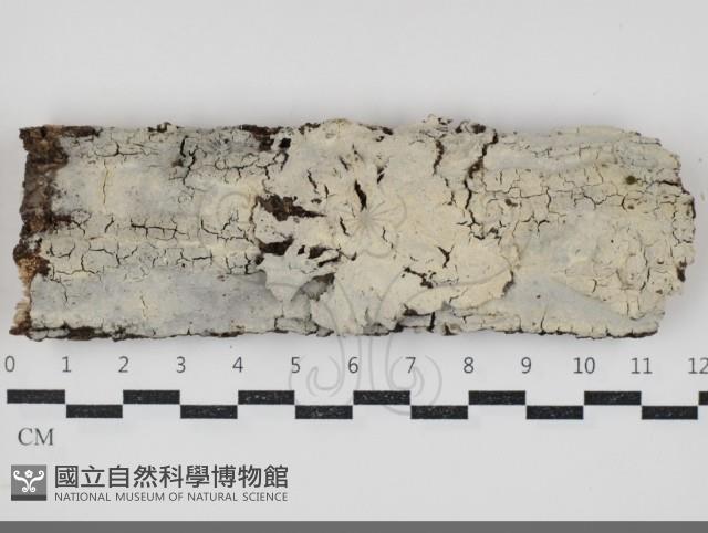 登錄號:F0034417藏品圖，第1張