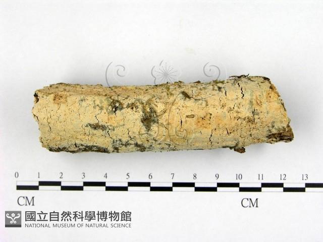 登錄號:F0002417藏品圖，第1張