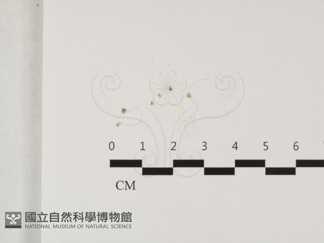 Accession Number:F0032417 Collection Image, Figure 1, Total 2 Figures