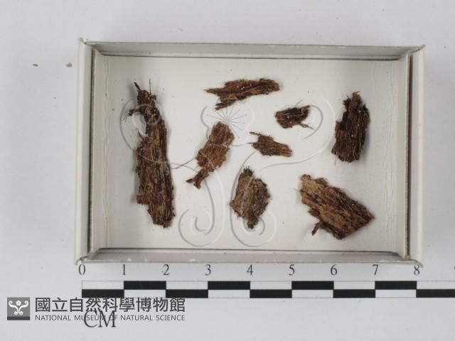 登錄號:F0007417藏品圖，第1張