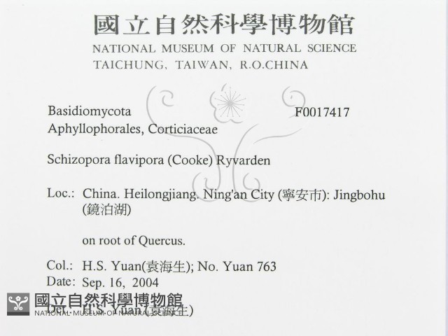 登錄號:F0017417藏品圖，第3張