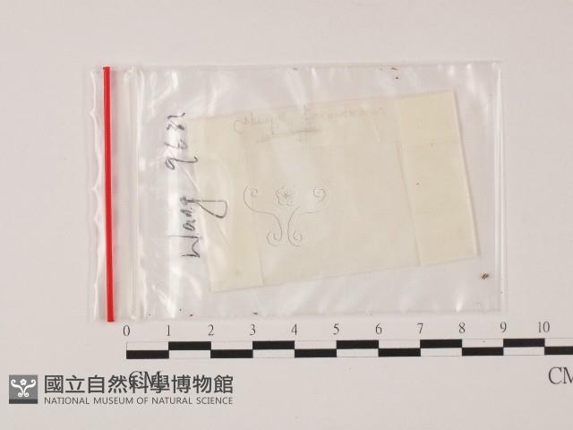 登錄號:F0004717藏品圖，第1張