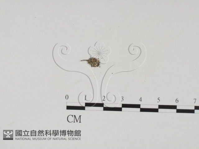 登錄號:F0007717藏品圖，第1張
