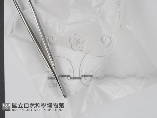 登錄號:F0005717藏品圖，第1張