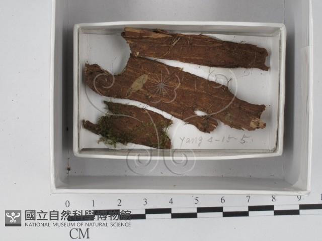 登錄號:F0018517藏品圖，第1張