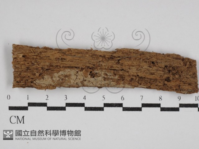 登錄號:F0030517藏品圖，第1張