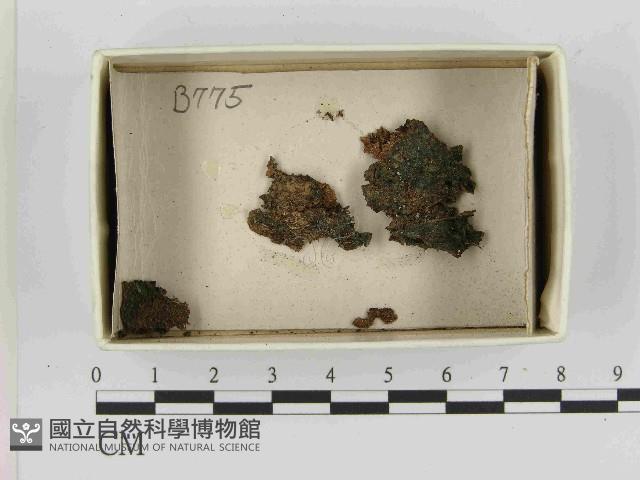 登錄號:F0021517藏品圖，第1張