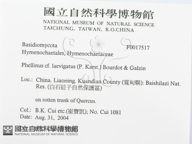 登錄號:F0017517藏品圖，第3張