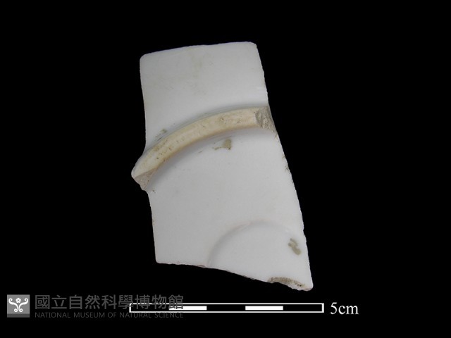 瓷盤藏品圖，第2張
