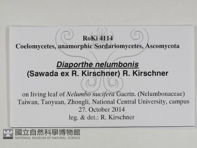 登錄號:F0031017藏品圖，第3張