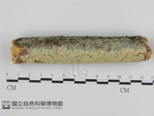 登錄號:F0000257藏品圖，第3張
