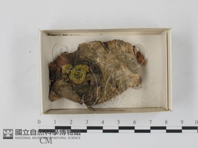 登錄號:F0021257藏品圖，第1張
