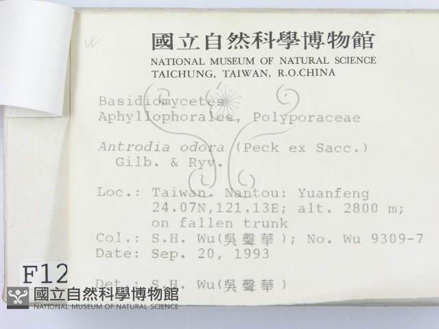 登錄號:F0001257藏品圖，第3張