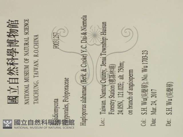 登錄號:F0031257藏品圖，第3張
