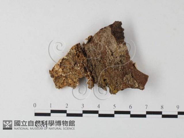 登錄號:F0008857藏品圖，第1張