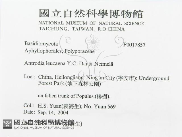 登錄號:F0017857藏品圖，第3張