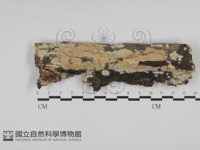 登錄號:F0029857藏品圖，第1張
